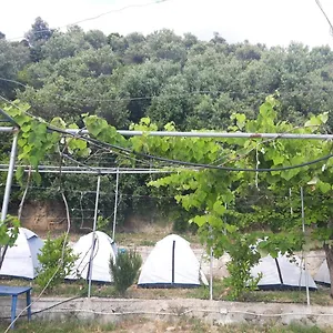  Campo de lujo Jungle In